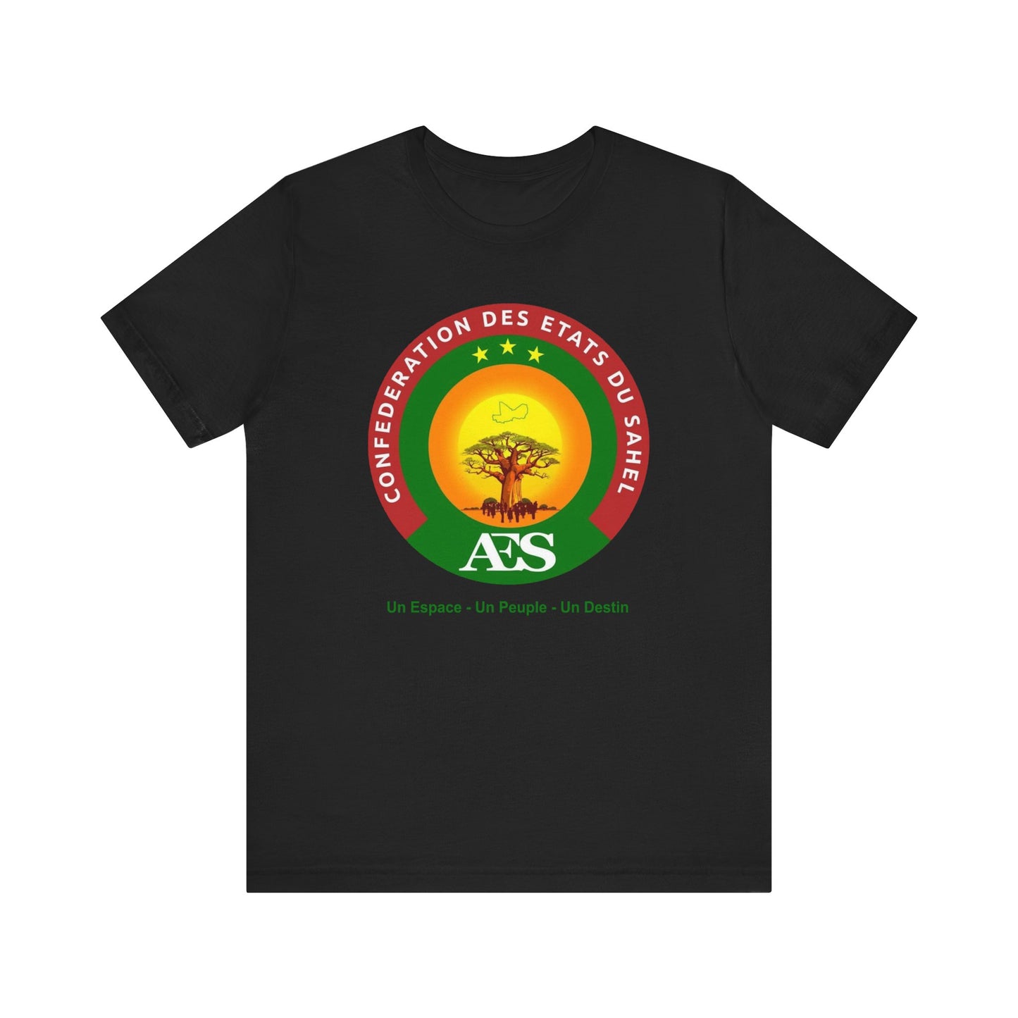 AES T-Shirt